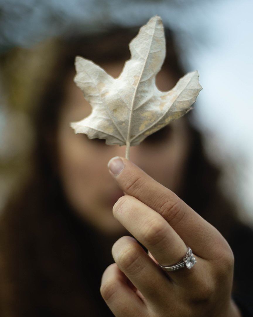rsz_leaf-holding